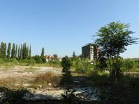 Imagine atasata: Mulberry Development Take Ionescu - 2016.08.21 - 05.jpg